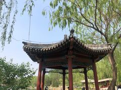-北坞公园