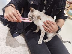 -藏猫猫咖啡主题馆(中央大道店)