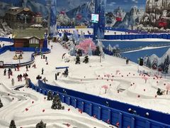 -湘江欢乐城欢乐雪域