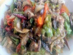 -新疆风味冷水鱼庄(友谊峰路店)