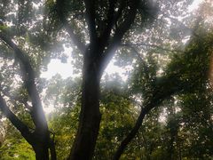 -南京市无想山景区