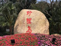 -野狸岛