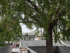 -自如ZSPACE四合院艺术餐厅
