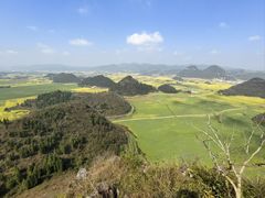 -罗平振兴老店砂锅饭(文笔路店)