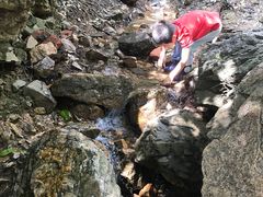 -CoCo都可(惠山古镇店)