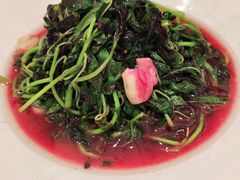 -新雅粤菜馆(南京东路店)