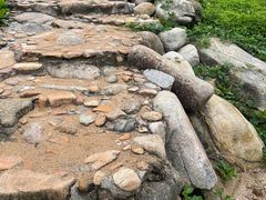 -广东惠东海龟国家级自然保护区