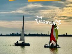 -碧海金沙