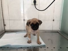 -畜牧兽医站(共江路店)