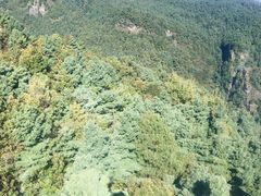 -苍山感通索道