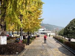 -百林公园-两江幸福广场