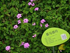 -云溪植物园