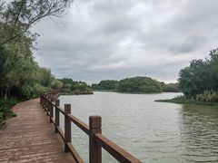 -艾溪湖湿地公园
