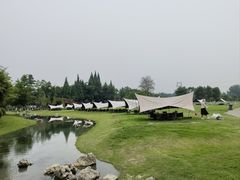 -夏河溪乡野公园