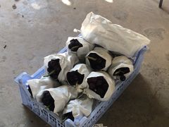 -马陆小张葡萄园农家乐