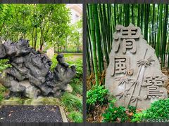 -陈家山荷花公园