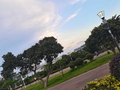 -立新湖公园