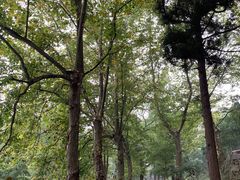 -莫干山风景区