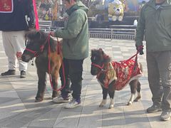 -无锡动物园·太湖欢乐园