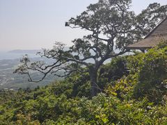 -亚龙湾热带天堂森林公园