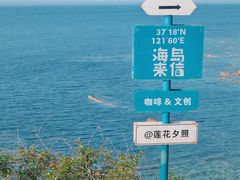 -养马岛旅游度假区