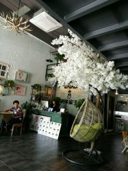 -美年亲子儿童摄影(合肥市滨湖新区金泉小区店)