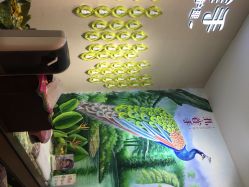 孔雀手植物美甲(城西银泰店)-孔雀手美甲美睫护理
