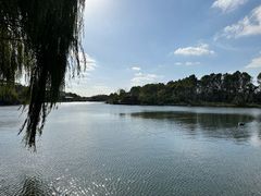 -上海怡沁园度假酒店