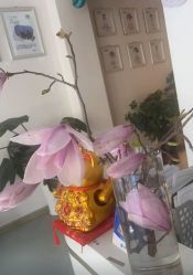 -Dr.林醫生产后修复·配方产康店(南京大厂店)