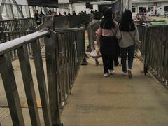 -武汉关码头(轮渡站)