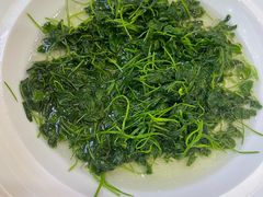 -苏启渔港(云南北路店)