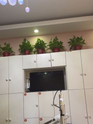 -香薇妮丝·定制减肥·身材管理