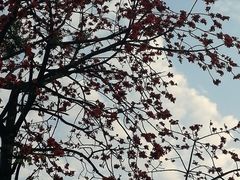 -晓港公园