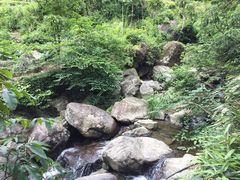 -藏龙百瀑风景区