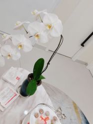 -海涛医疗美容·面部抗衰·注射美鼻