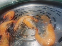 -德兴show鲜·蒸汽海鲜火锅餐厅(格创悦里店)