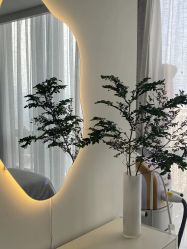 -DELAVAY黛乐薇抗衰中心