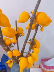 -宜肤清颜专业祛痘问题肌修护
