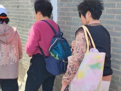 -曹州牡丹园