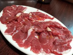 三角肉-鞍山戰