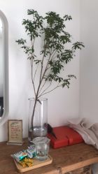 -净漪造型 PURE RIPPLE