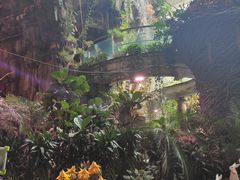 -正佳雨林生态植物园