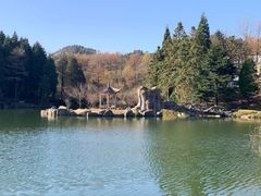 -四明山国家森林公园