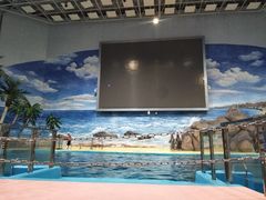 -福州罗源湾海洋世界旅游区