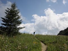 -白草畔自然风景区