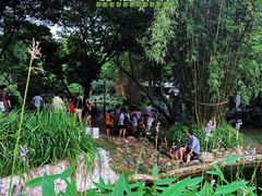 -成都市活水公园