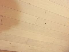 iphone_upload_pic-简爱主题酒店(山西路中环国际店)