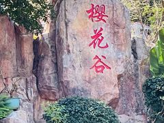 -狐尾山公园
