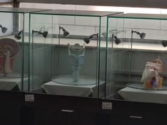 -首都医科大学附属北京同仁医院(西区)