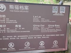 -都江堰中华大熊猫苑